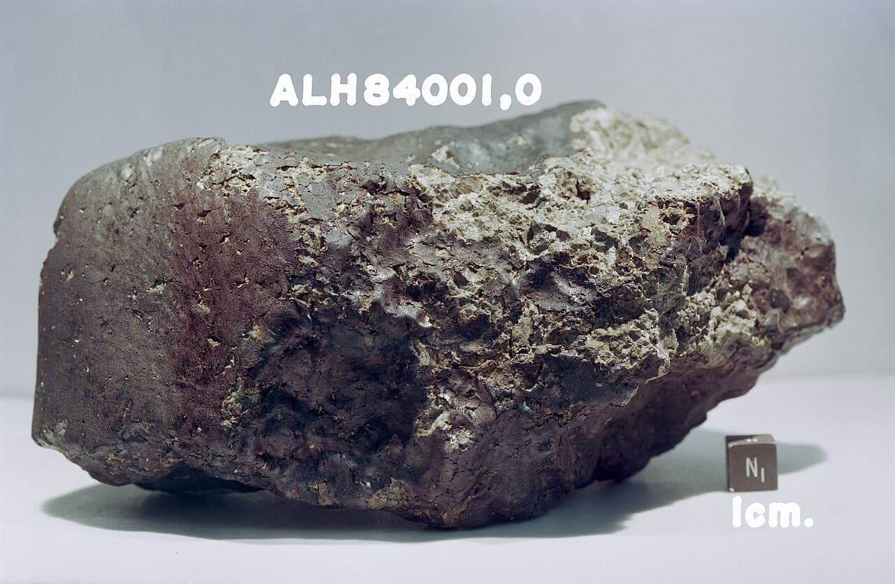 The martian meteorite ALH 84001 photographed in the NASA Johnson Space Center meteorite laboratory as sample ALH84001,0, with the standard one centimetre scale cube at right and a dull dark fusion crust over roughly 80 per cent of the surface. The stone weighs 1,930.9 grams and was picked up in the Allan Hills of Antarctica by Roberta Score on 27 December 1984. It crystallised about 4.091 billion years ago on Mars. The 1996 life claim was made about carbonate globules inside this rock, never about the stone as a whole, and neither its martian origin nor its age was ever what later work overturned.