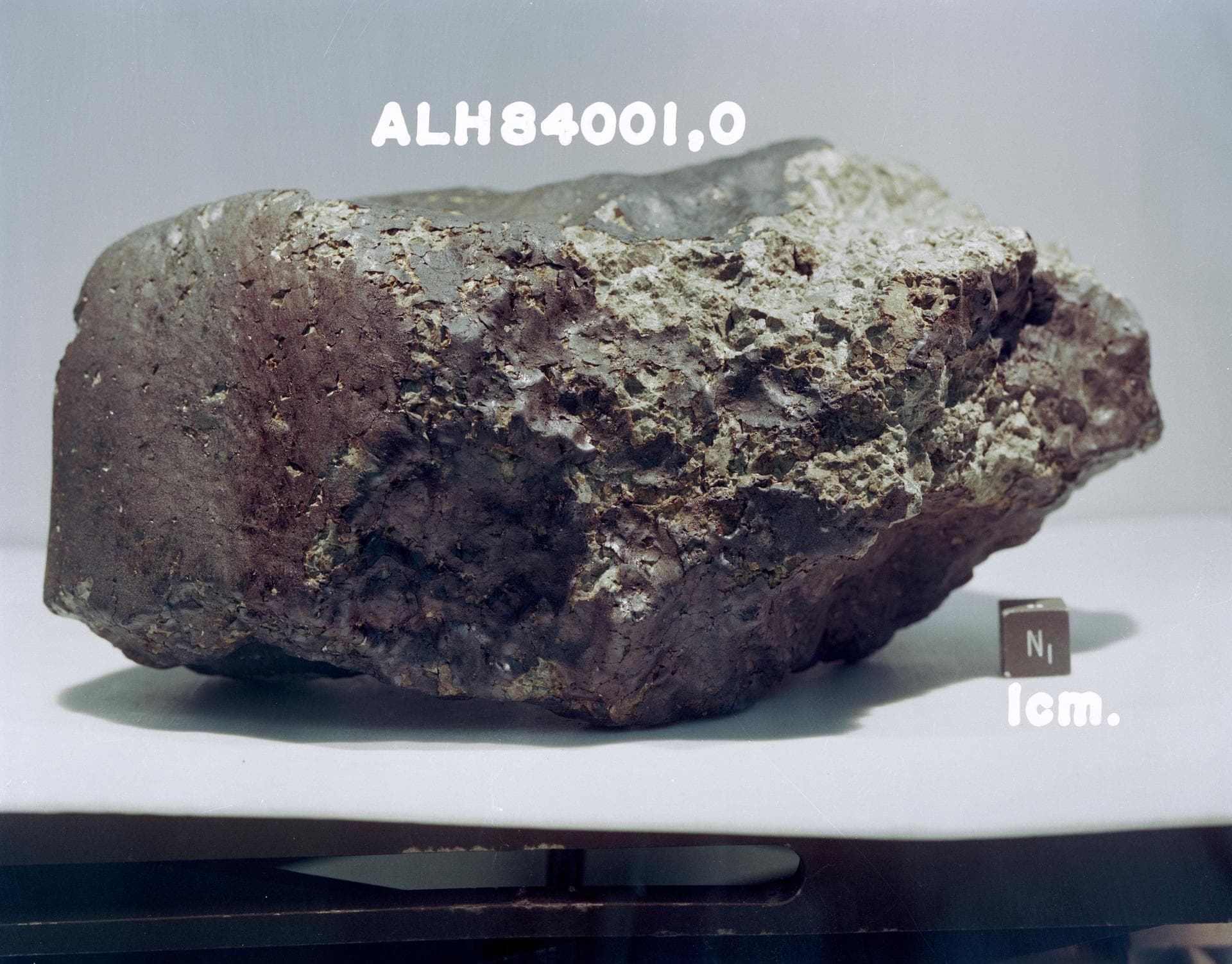 The whole ALH 84001 stone photographed in the meteorite processing laboratory at NASA Johnson Space Center, labelled ALH84001,0 for the parent mass, with a one centimetre cube for scale at lower right. It weighs 1,931 grams. NASA's own caption on this frame, written for the August 1996 release, calls the rock 4.5 billion years old and says it contains fossil evidence of primitive life; the measured crystallisation age is 4,091 plus or minus 30 million years, and the fossil reading did not survive the next six years of testing. When this photograph was taken the rock was filed as a diogenite, a fragment of the asteroid Vesta, and it stayed misfiled for nine years.